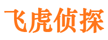 江城侦探公司